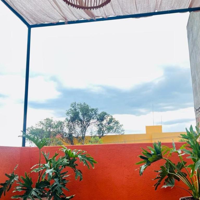 XochiHouse - Casa - 5