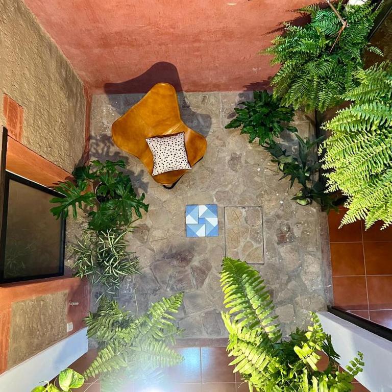 XochiHouse - Casa - 25