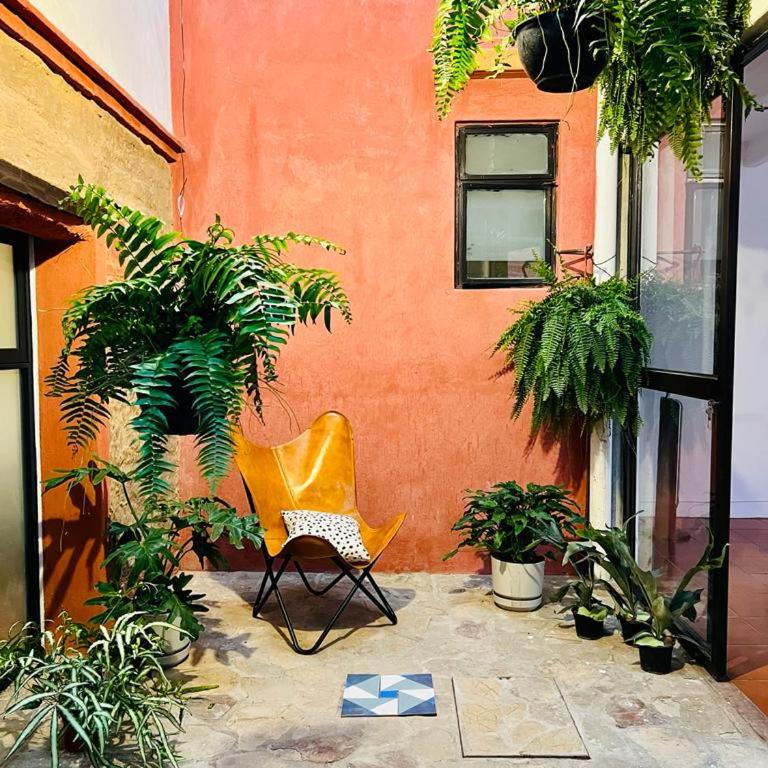 XochiHouse - Casa - 34