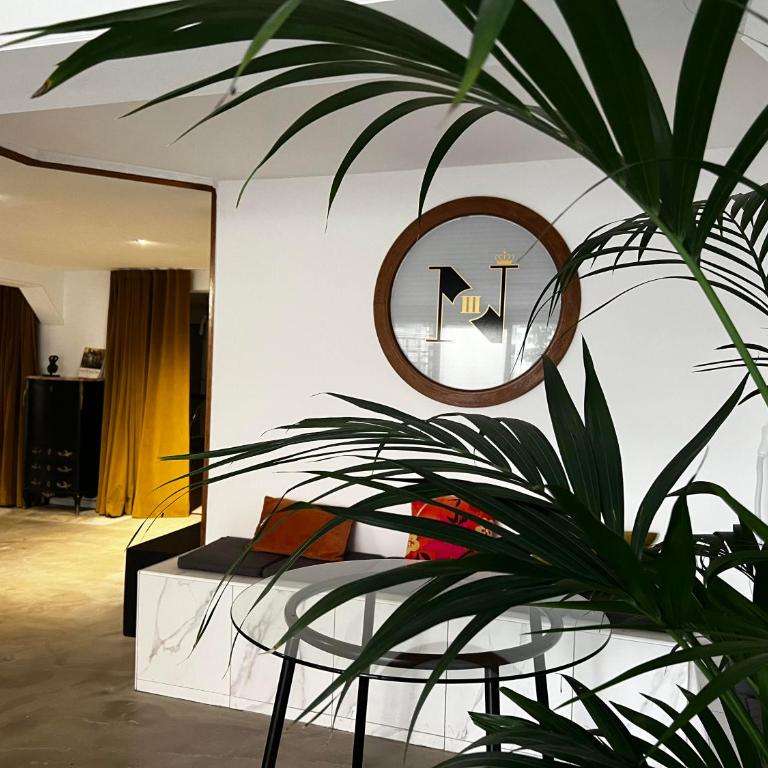 Coliving Ajaccio type Auberge de Jeunesse - Lit dans un dortoir de 4 lits - 12