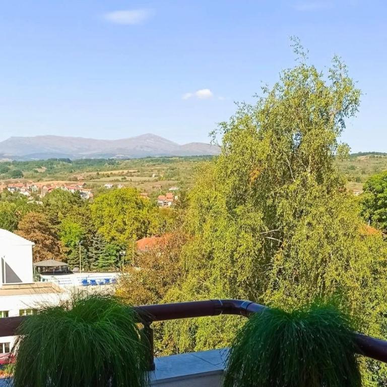 Apartmani Čokić Sokobanja - Apartman sa Pogledom na Grad - 5
