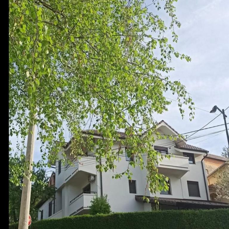 Apartmani Čokić Sokobanja - Apartman sa Pogledom na Grad - 6