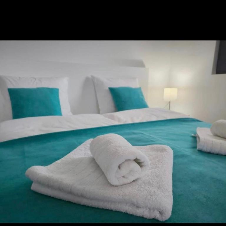 Apartmani Čokić Sokobanja - Studio sa Pogledom na Planinu - 2
