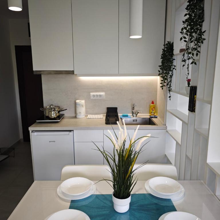Apartmani Čokić Sokobanja - Studio sa Pogledom na Planinu - 13