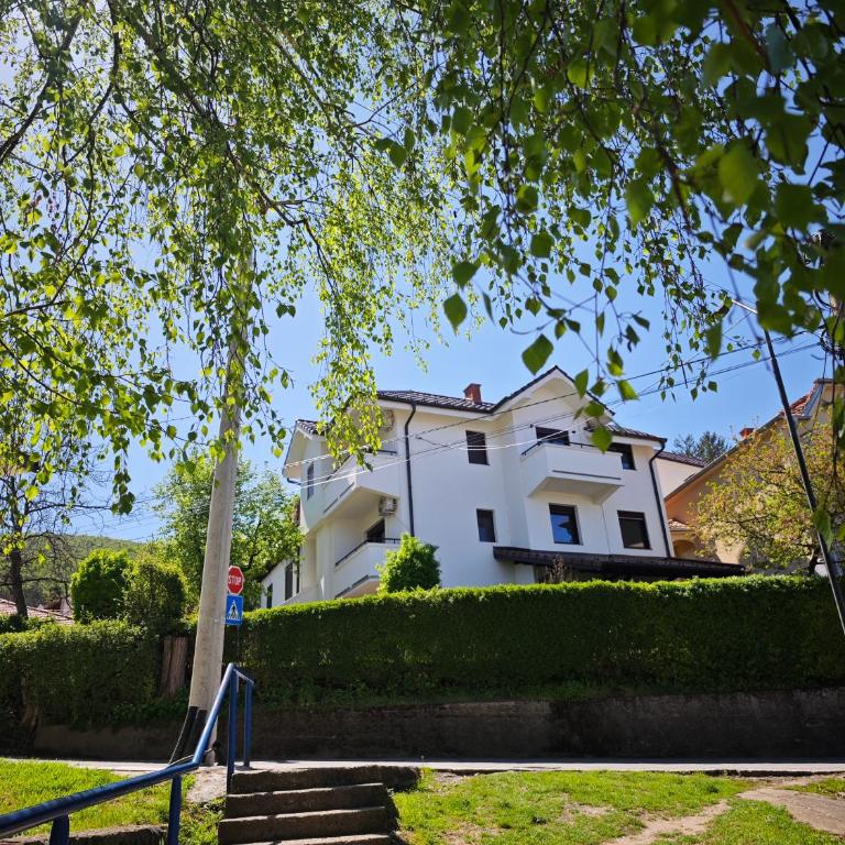 Apartmani Čokić Sokobanja - Studio sa Pogledom na Planinu - 14