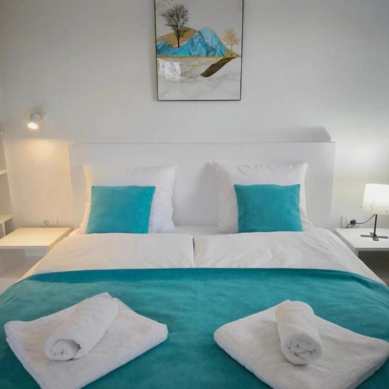 Apartmani Čokić Sokobanja - Studio sa Pogledom na Planinu - 1