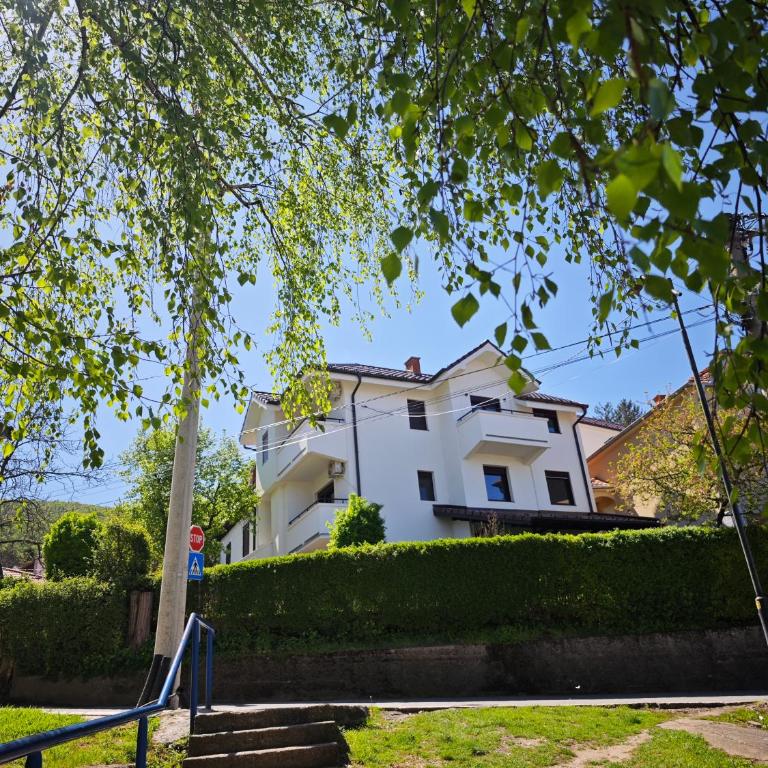 Apartmani Čokić Sokobanja - Apartman sa Pogledom na Grad - 16