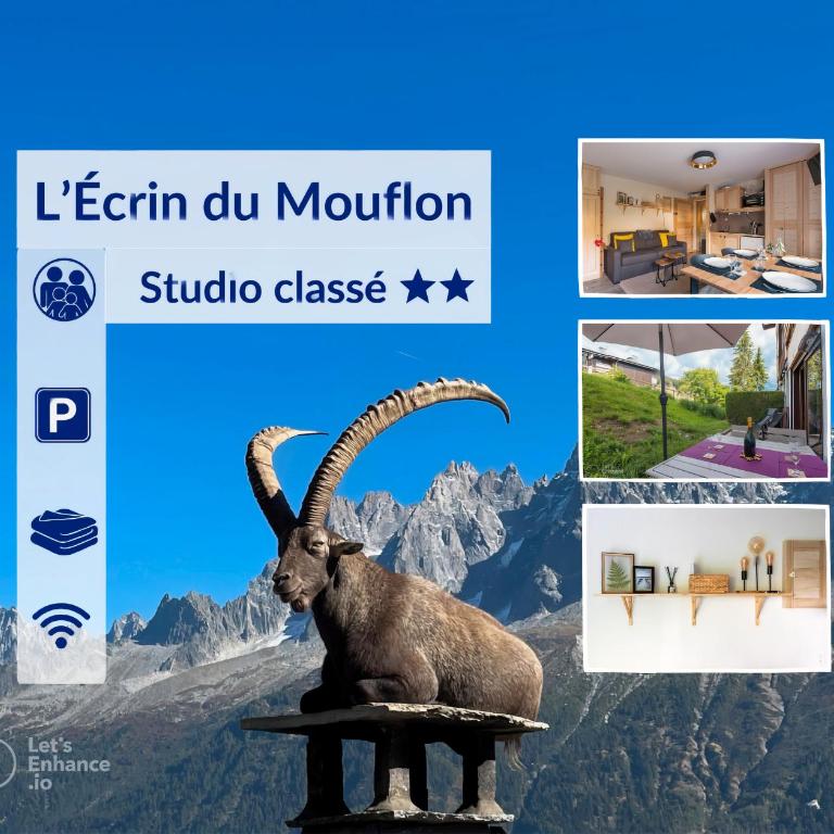 Ecrin cosy, calme, terrasse, nature et MontBlanc - Studio - 4