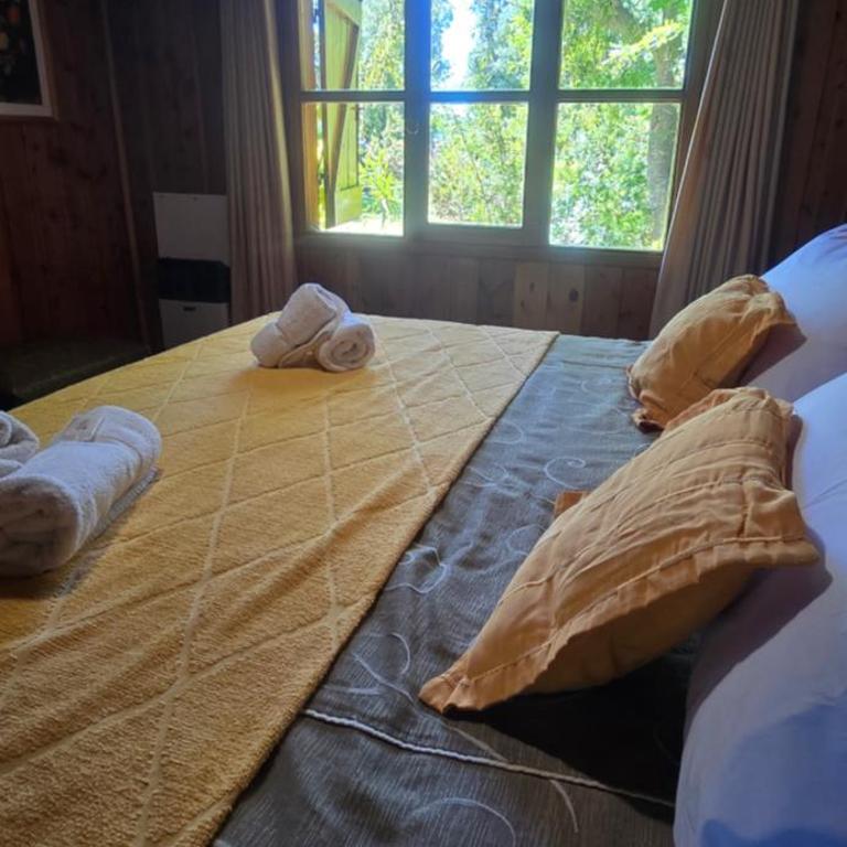 Experiencia Patagónica en Colonia Suiza con costa de Lago - Casa de 2 dormitorios - 10