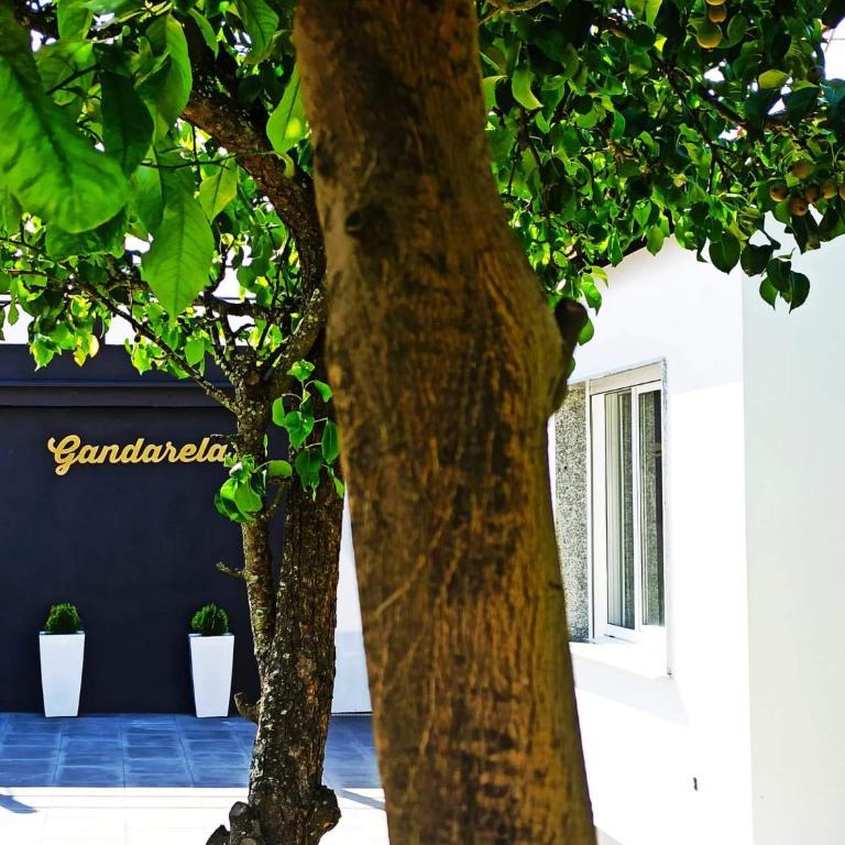 Apartamentos VUT Gandarela - Apartamento de 2 dormitorios - 1