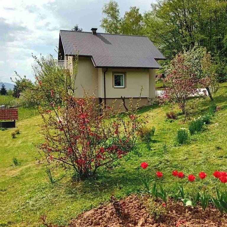 Villa Ena - Kuća sa 3 Spavaće Sobe - 2