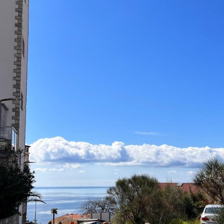 Orhid apartment Becici one - Apartman sa 2 Spavaće Sobe - 17