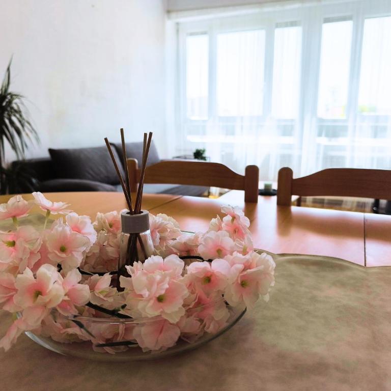 Grand appartement lumineux et central - Appartamento con 3 Camere da Letto - Piano Alto - 18
