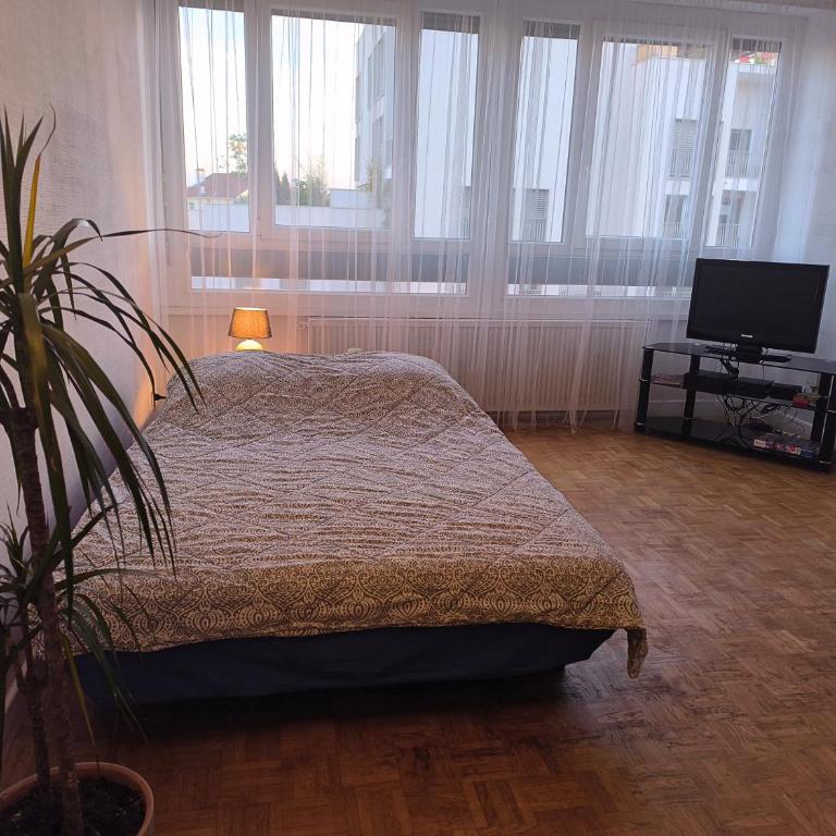 Grand appartement lumineux et central - Appartamento con 3 Camere da Letto - Piano Alto - 23