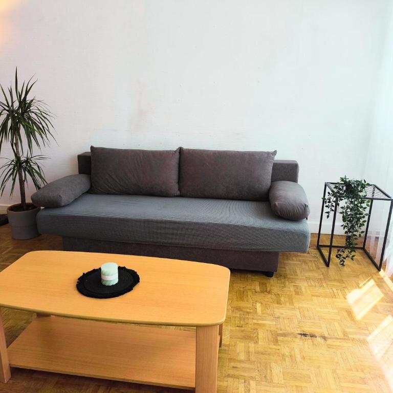 Grand appartement lumineux et central - Appartamento con 3 Camere da Letto - Piano Alto - 24