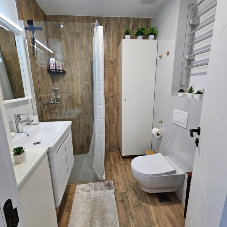 Apartmani Dragulji Vrnjačka Banja, Parking uključen, centar na 5 min - One-Bedroom Apartment - 20