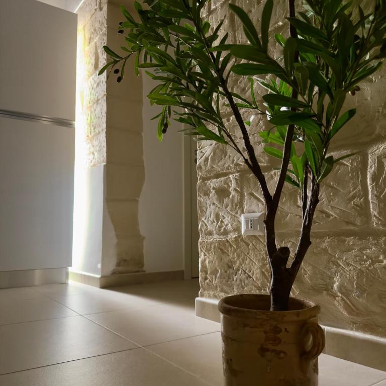 Casa delle Zie - Casa con 2 Camere da Letto - 12