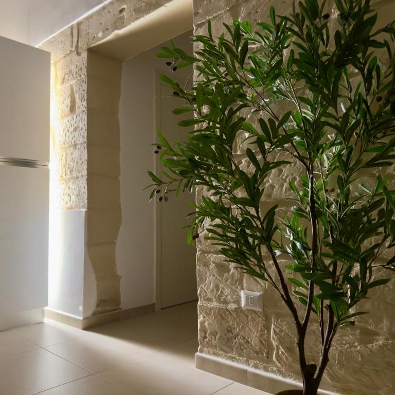 Casa delle Zie - Casa con 2 Camere da Letto - 16