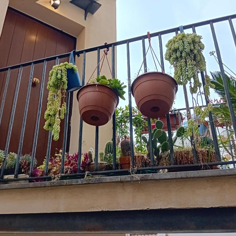 Capo - Appartamento con 2 Camere da Letto - 2