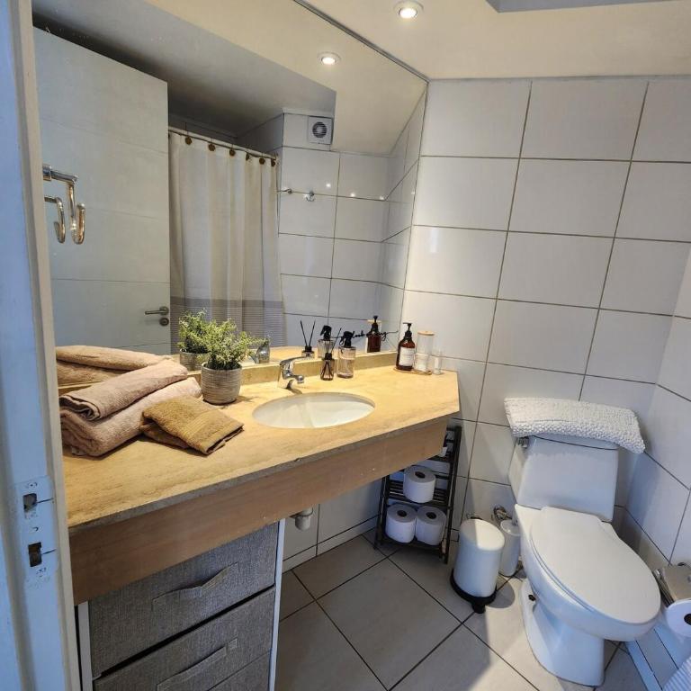 Providencia Apartment, Linda Vista y Cercano al Metro - Apartamento de 1 dormitorio - 25