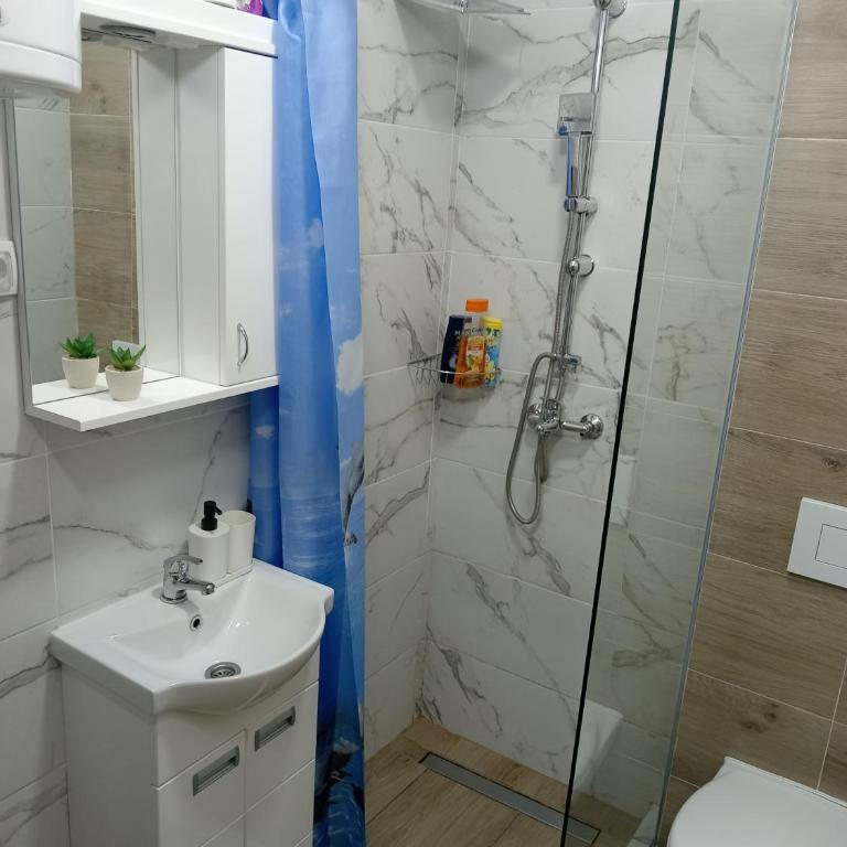 Apartman Savić Divčibare - Apartman sa 1 Spavaćom Sobom - 21