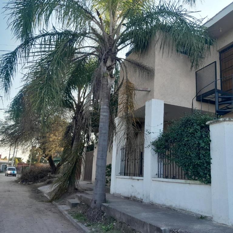 Departamento de los pájaros - Apartamento de 2 dormitorios - 9