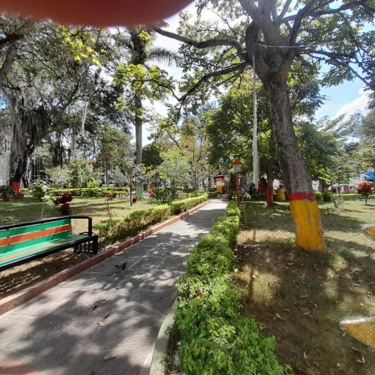 Comodo Apartamento CERCA AL PARQUE - Apartamento de 3 dormitorios - 21