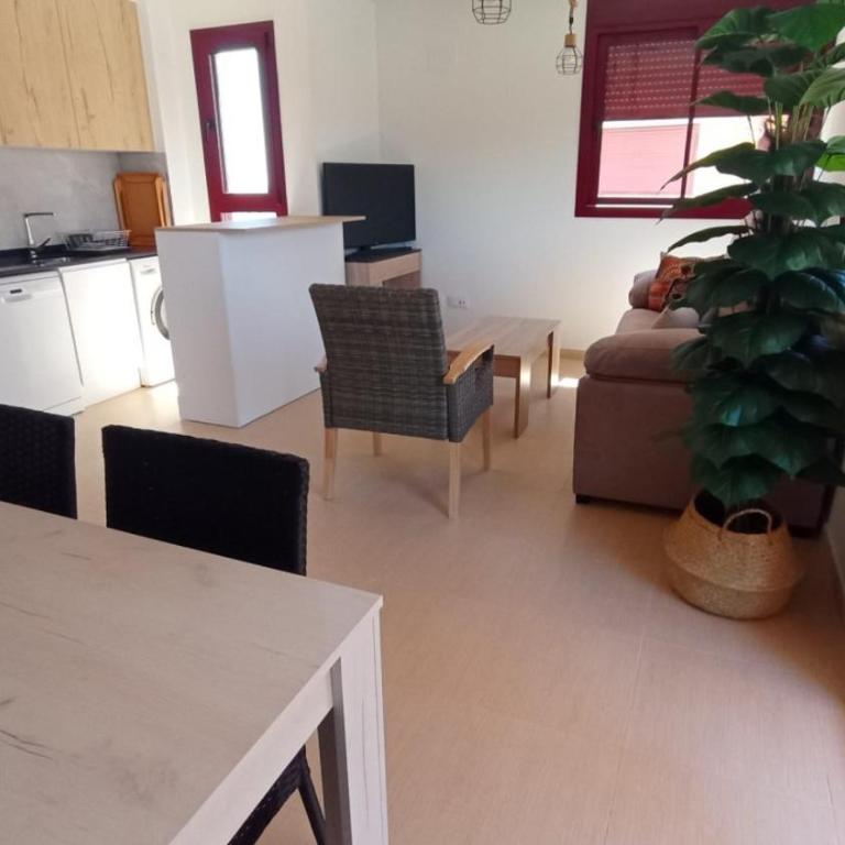 Apartamento Saldonar - Apartment - 5
