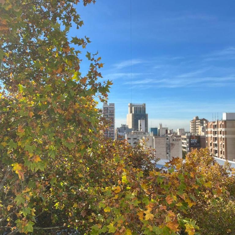 TU CASA EN ESPAÑA Y PEATONAL - COCHERA PRIVADA INCLUIDA - Microcentro - Apartamento de 1 dormitorio - 18