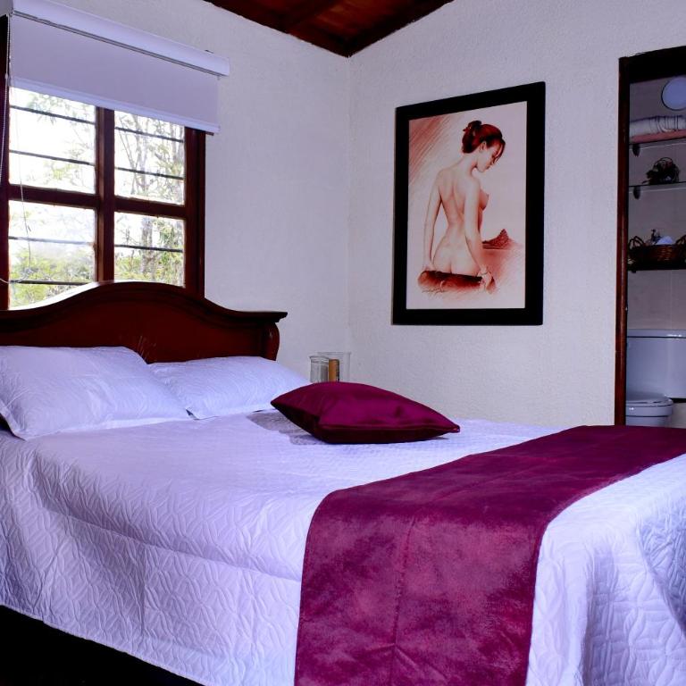 Finca La Concordia - Vacation Home - 21