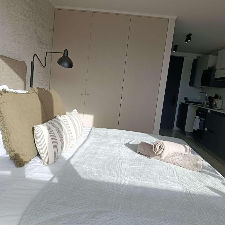 HOM I Comodo Depto 2PAX en La Serena - Apartamento - 66