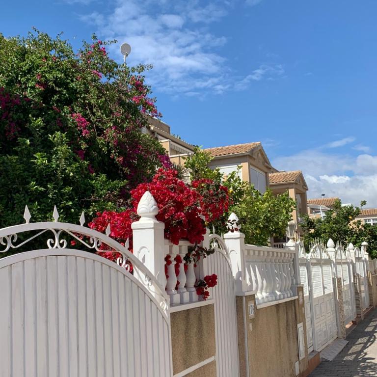 Charming duplex with pool - Casa - 11
