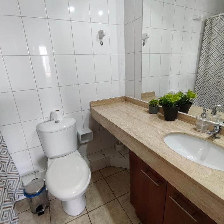 Bellas Artes apto - Apartamento de 1 dormitorio - 3