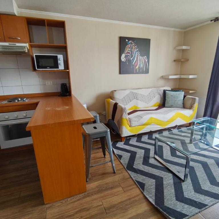 Bellas Artes apto - Apartamento de 1 dormitorio - 22