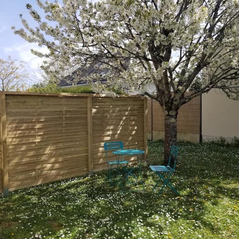 appartement cosy avec jardin Amboise - Appartement 1 Chambre - 13