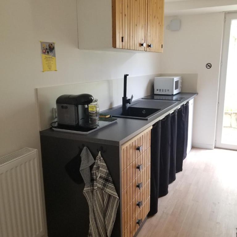 appartement cosy avec jardin Amboise - Appartement 1 Chambre - 4