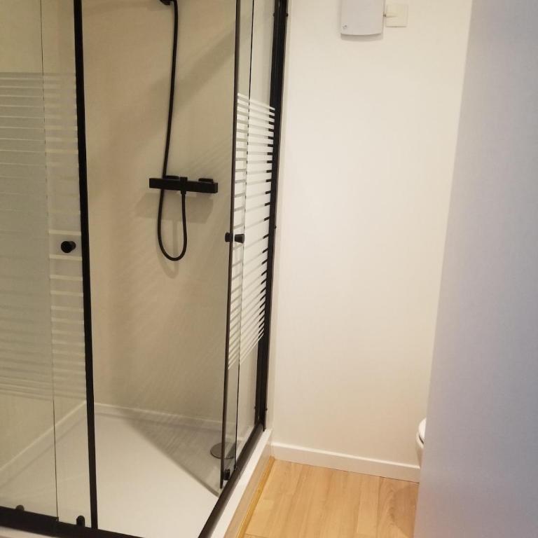 appartement cosy avec jardin Amboise - Appartement 1 Chambre - 10