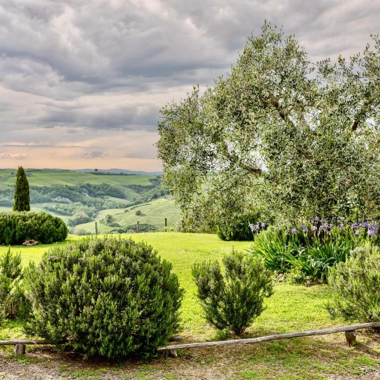 Podere Montechiari - App Nonna & Maria - Apartamento de 2 dormitorios con vistas - 24