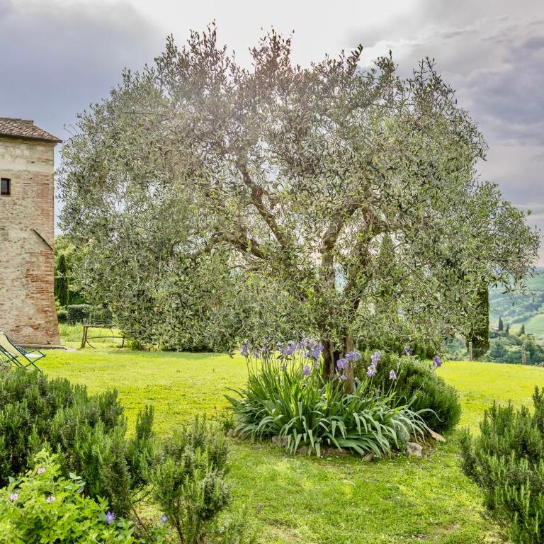 Podere Montechiari - App Nonna & Maria - Apartamento de 2 dormitorios con vistas - 31