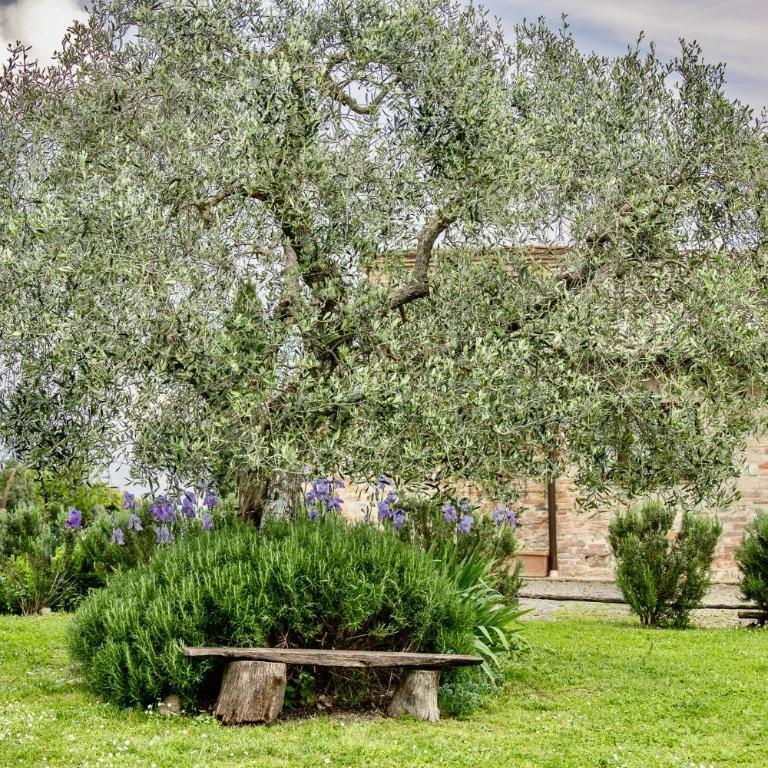 Podere Montechiari - App Nonna & Maria - Apartamento de 2 dormitorios con vistas - 49