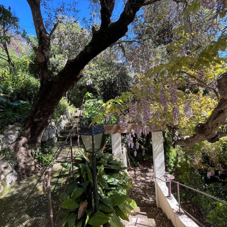 Seaside Jungle Retreat - Villa 2 Chambres - 10