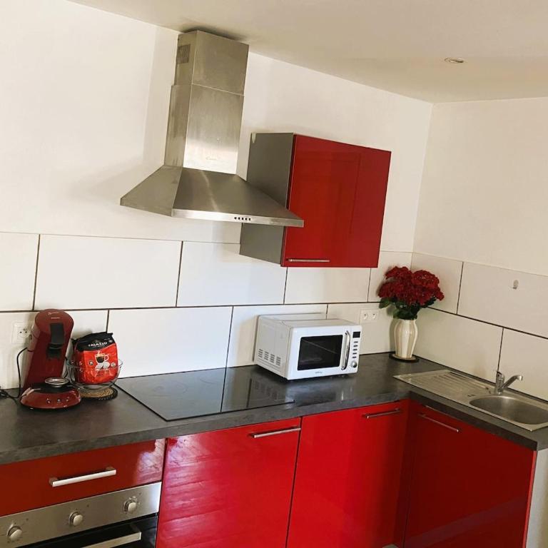 Spacious Home-Style Nancy Apartment - Apartment mit 1 Schlafzimmer - 13