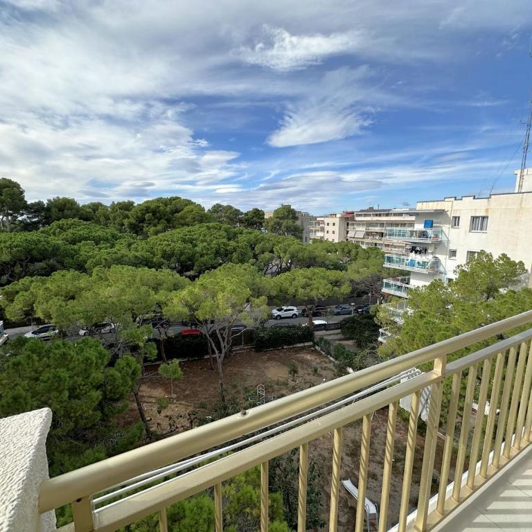Pino Alto - One-Bedroom Apartment - 4