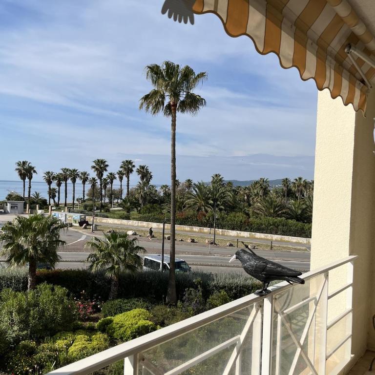 Superbe vue mer,CAP HERMES, Loisirs A, 3 pieces po - Apartment mit Meerblick - 13