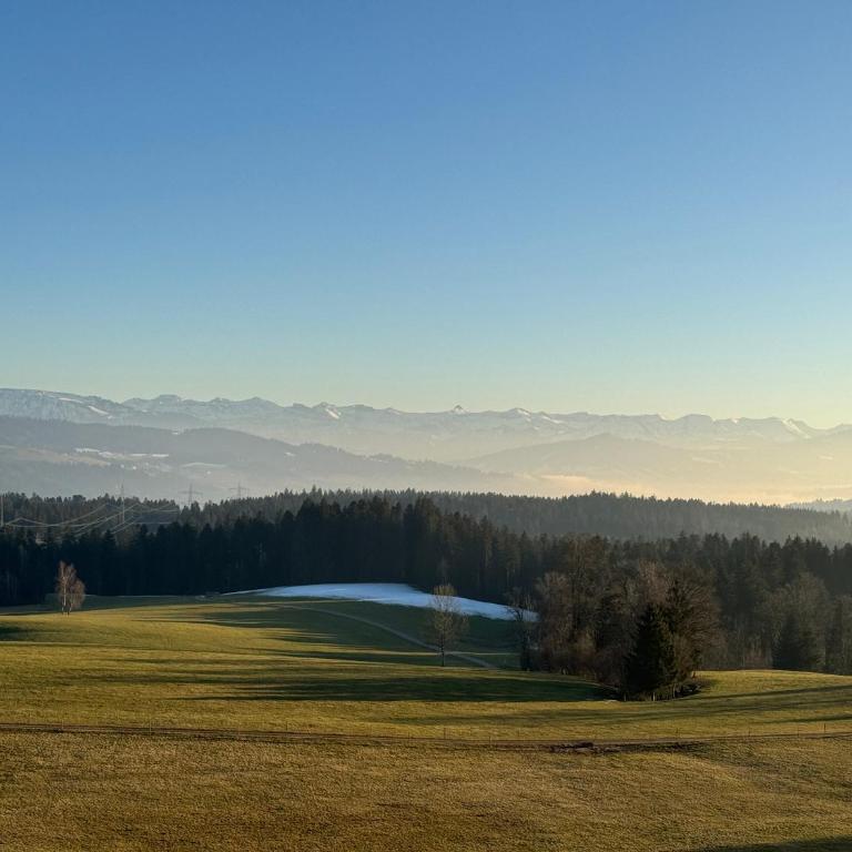 Ferienwohnung Alpenview im Allgäu - Apartment mit 2 Schlafzimmern und Bergblick - 11