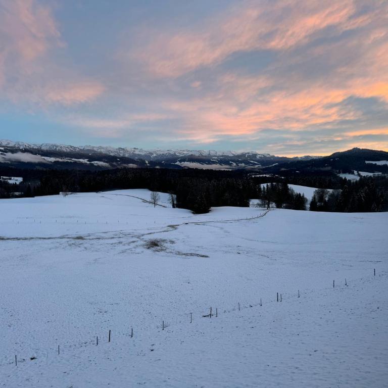 Ferienwohnung Alpenview im Allgäu - Apartment mit 2 Schlafzimmern und Bergblick - 12
