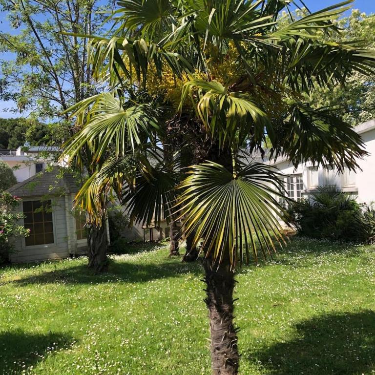 Villa Louise à 500 m des plages - Two-Bedroom Apartment - 38