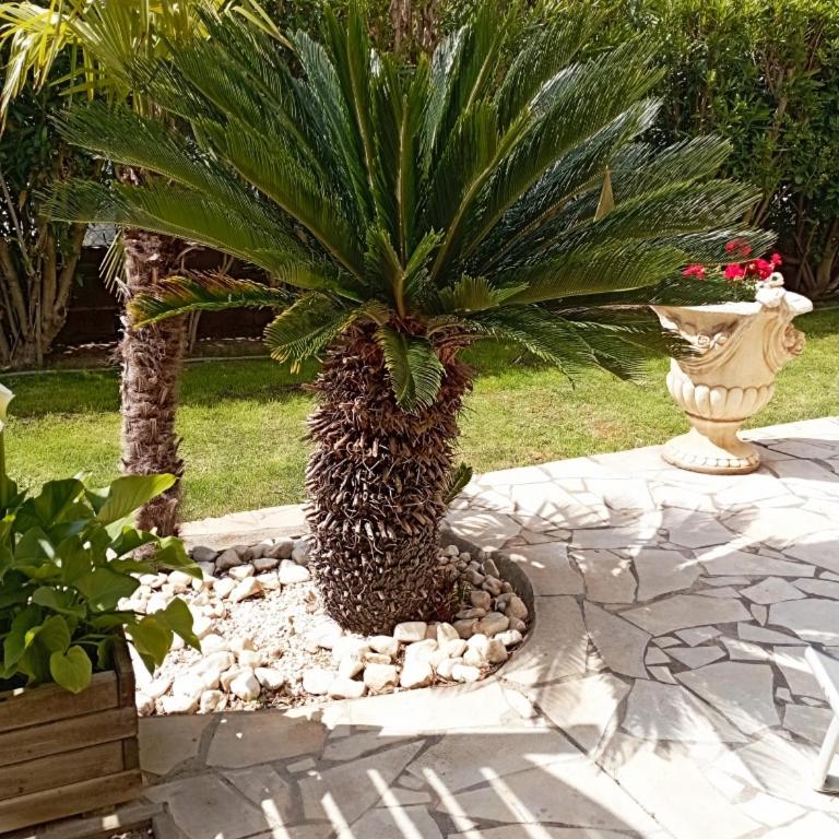 Rdc Villa Jardin et terrasse - Appartement 1 Chambre - 6