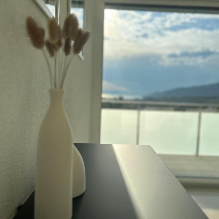 Montreux panoramic view with garden - Apartment - 54