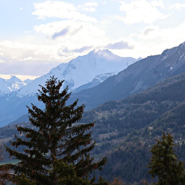 Chalet avec charme et vue à Crans-Montana - Chalet - 30
